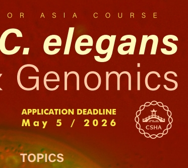 科研人必看！冷泉港亚洲首次落地“秀丽隐杆线虫”高阶课程，7月苏州正式开讲