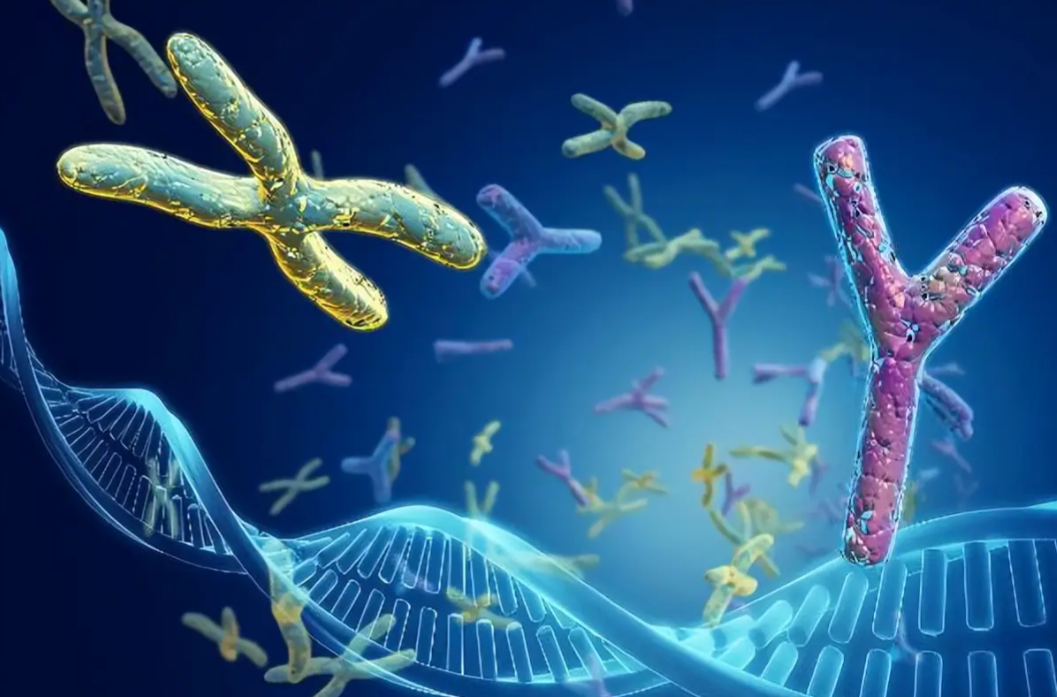 全球模式生物资源库及数据库大全