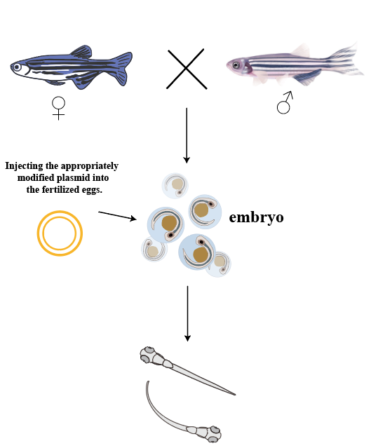 1762243817249598.png 图片1.png