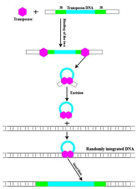 1762243824365705.png 图片2.png