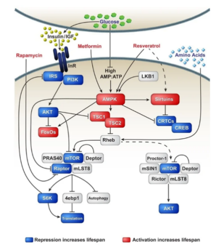 1762247713865204.png 图片7.png